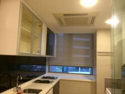 Angullia Park Residences @ Orchard (D10), Apartment #471967921